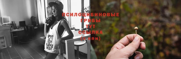 а пвп мука Алзамай