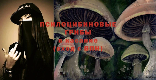 ПСИЛОЦИБИНОВЫЕ ГРИБЫ Алексеевка
