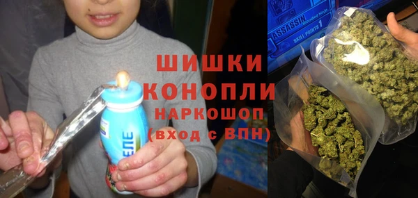 ПСИЛОЦИБИНОВЫЕ ГРИБЫ Алексеевка