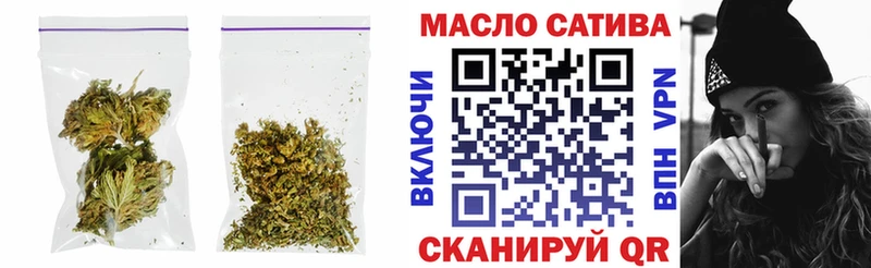 ссылка на мегу ТОР  Заозёрный  Дистиллят ТГК THC oil  купить наркотики цена 